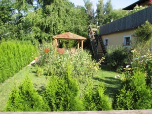 teichgarten Juli 2008